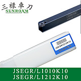 JSEGL1010K10